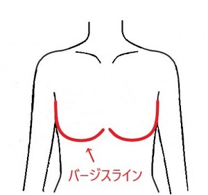 美しさと快適性を兼ね備えたブラ"glairie"