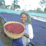 エチオピア イルガチェフェG1 ゲルシ ナチュラル（100g