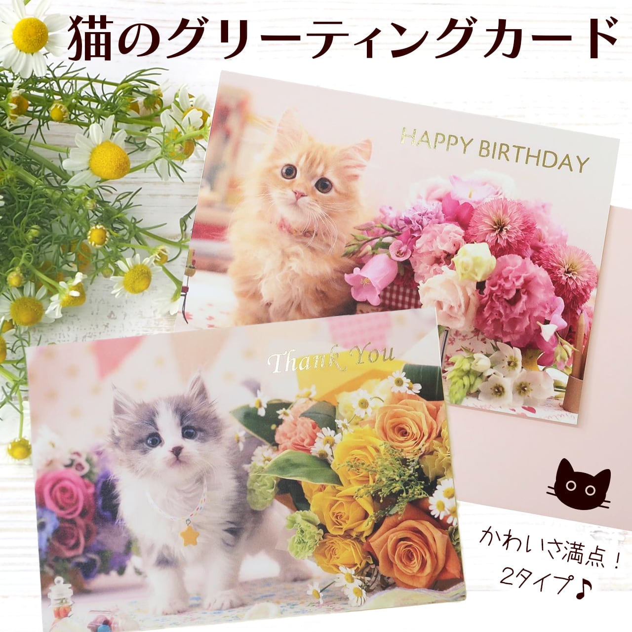 猫 バースデーカード サンキューカード グリーティングカード 誕生日