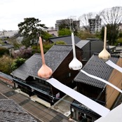 能作　風鈴　オニオン ONION