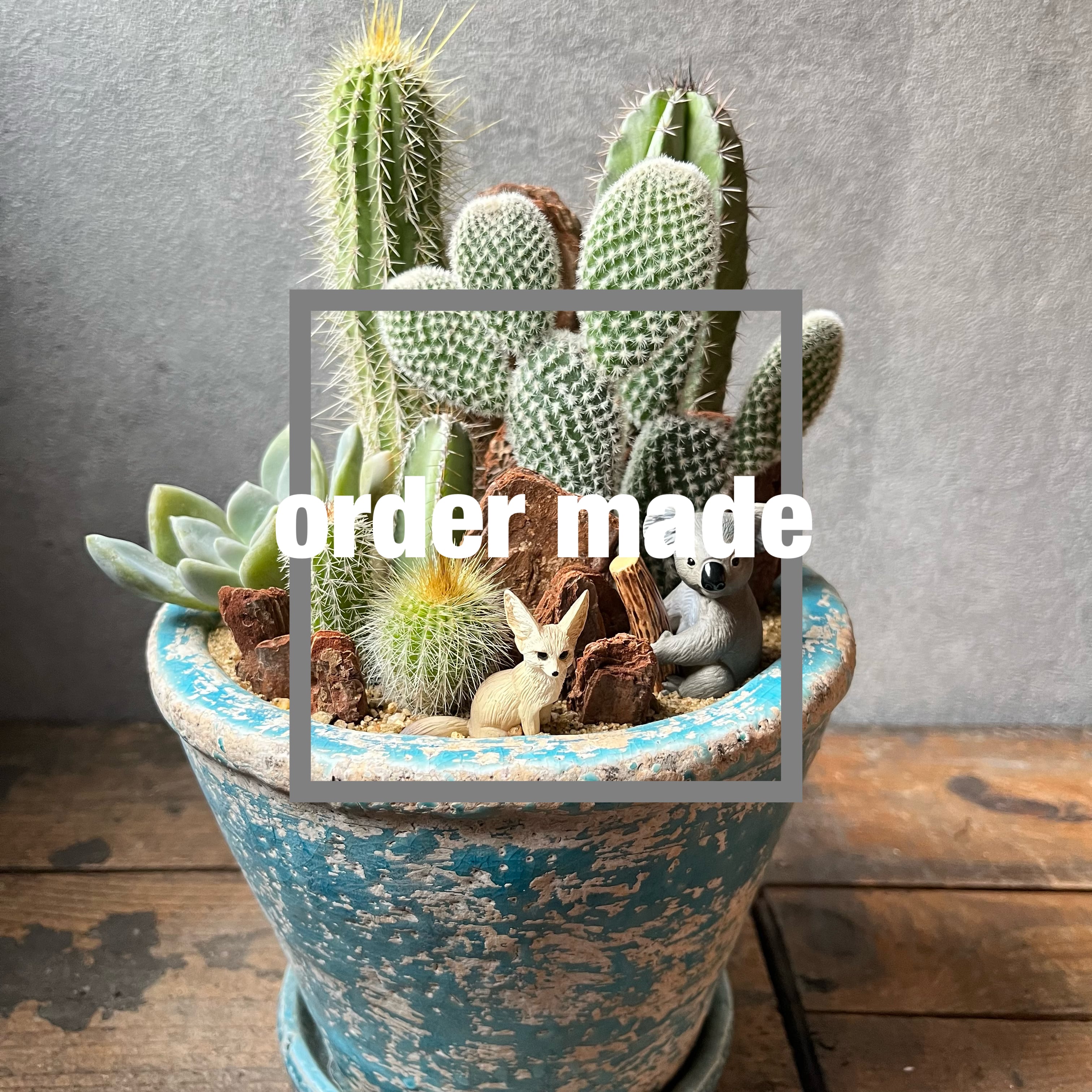 order made H.Cさま専用 | SABOTEN MISSILE