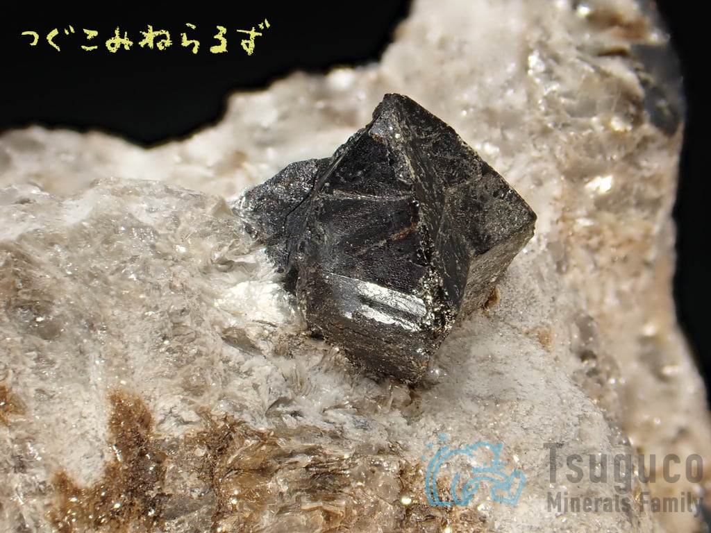 キャシテライト 錫石 Cassiterite スペイン TM-0023