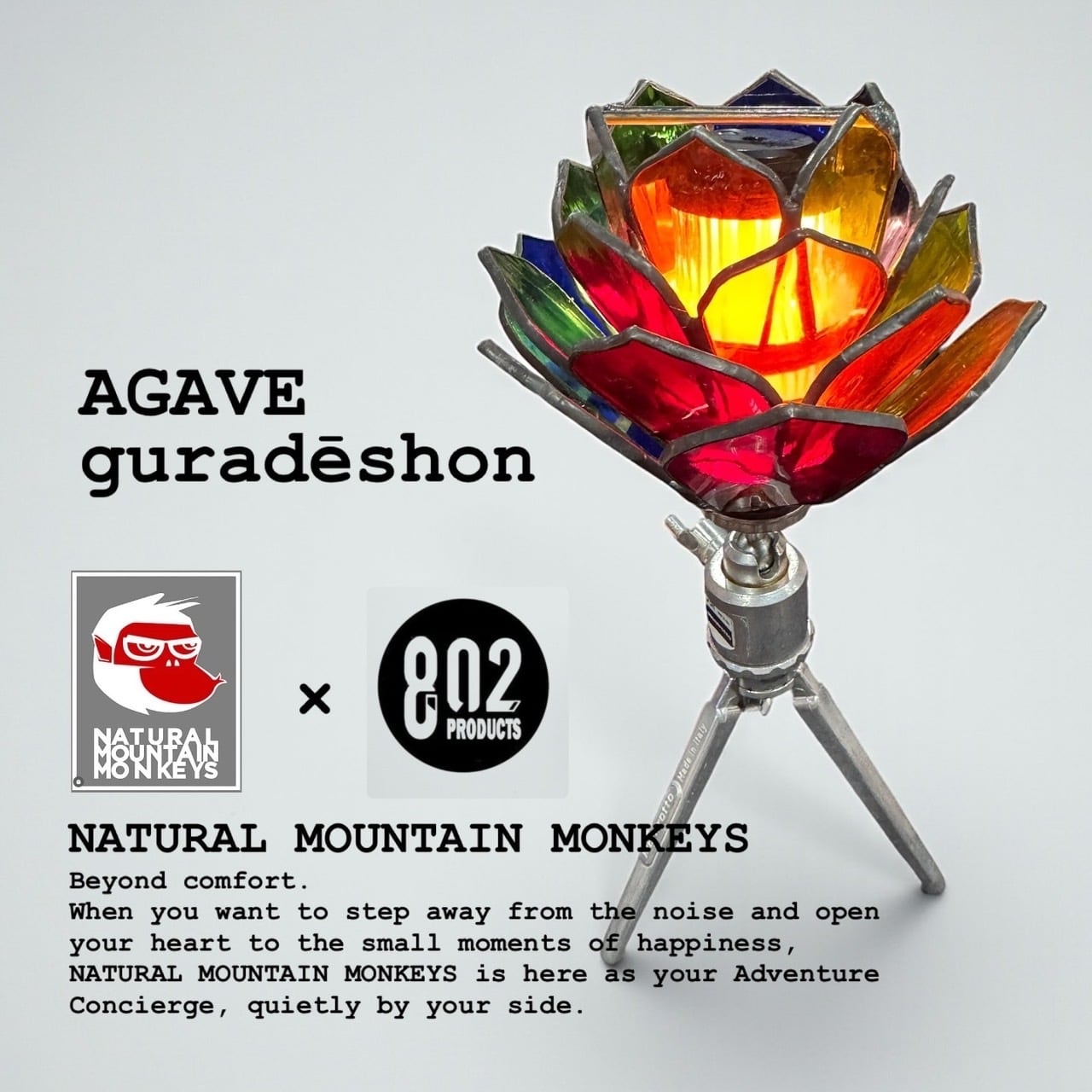 NATURAL MOUNTAIN MONKEYS