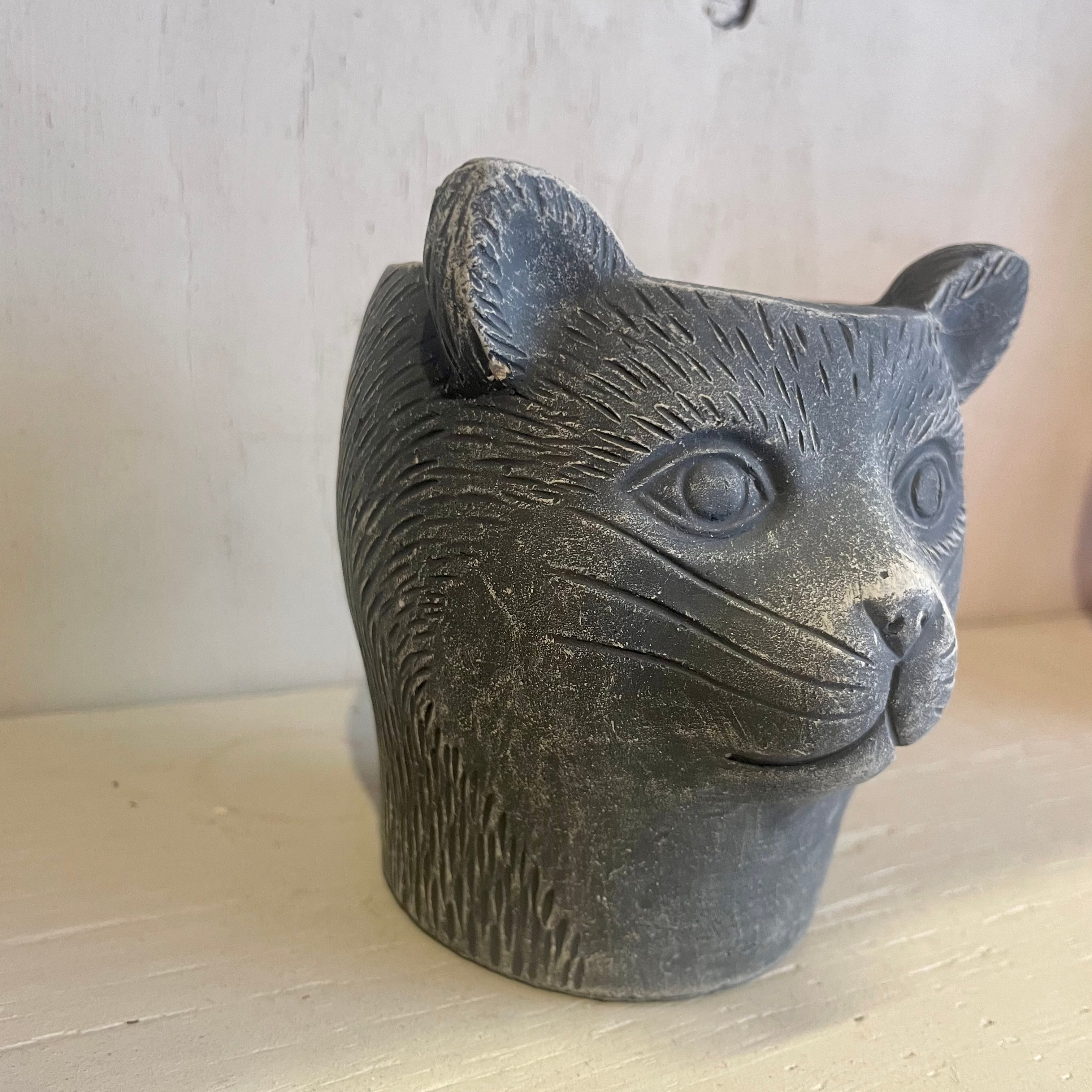猫鉢 子猫 | ハルカゼフラワー