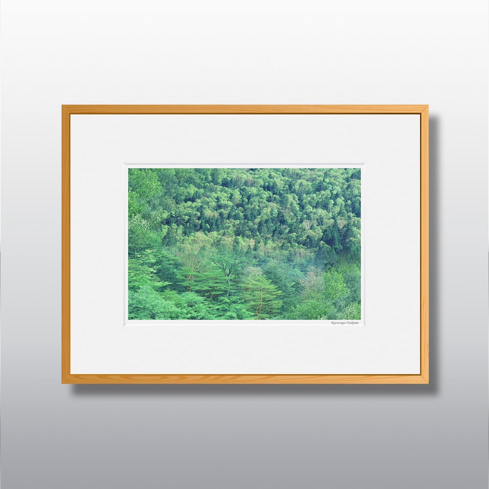 森の扉 #01 ■額縁サイズ(太子)378㎜×288㎜
