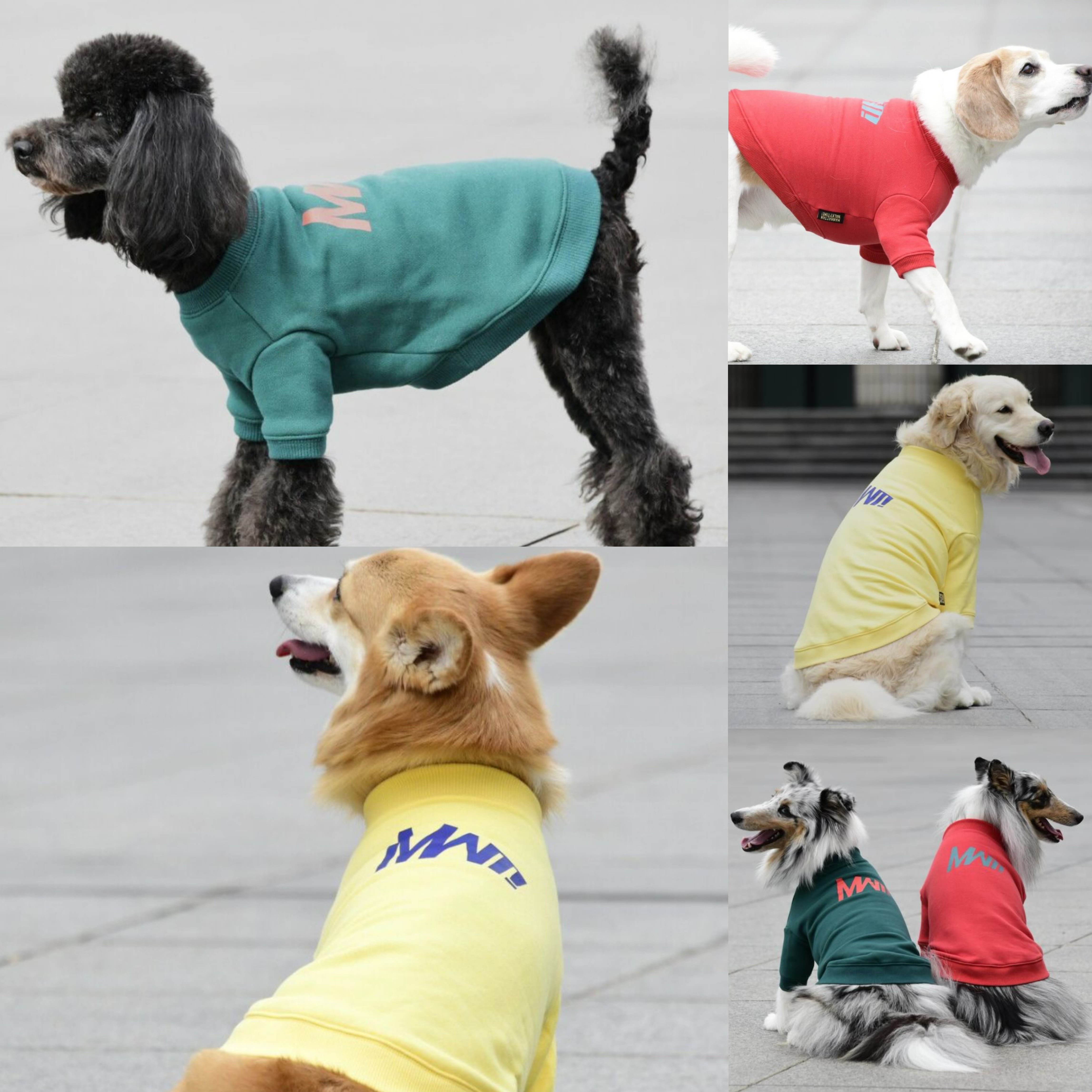 【MWT!】ロゴスウェットシャツ