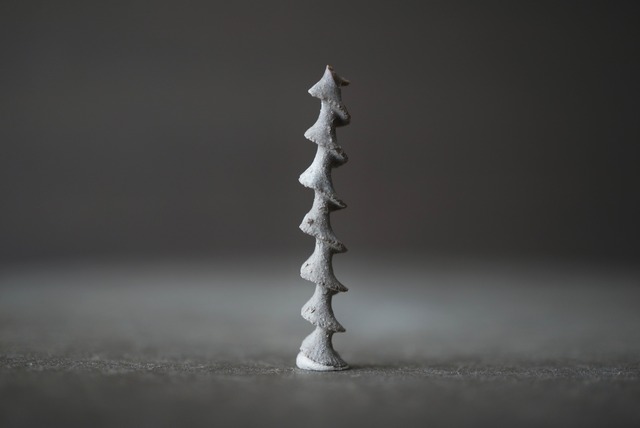 アルキメデス化石 Archimedes sp. 1512