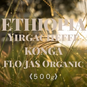 【５００ｇ】 エチオピア イルガチェフェ コンガ FLO  /    ETHIOPIA  Yirgacheffe KONGA FLO  【中煎り】