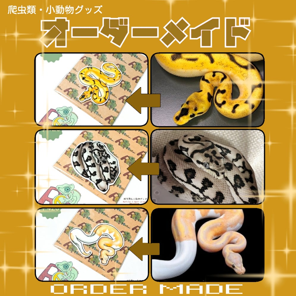 アオジタトカゲ | 爬虫類のステッカーや雑貨、Tシャツなどのグッズ専門