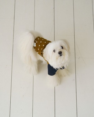 【予約】[ togethering ] Raglan Dot T-Shirt｜Olive