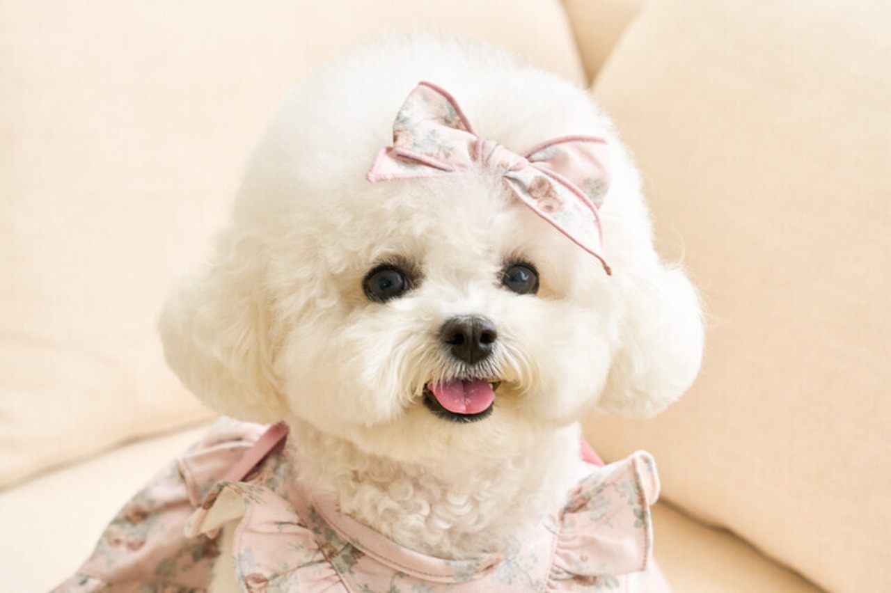 即納【kiki&nini】アメリーローズリボンピン