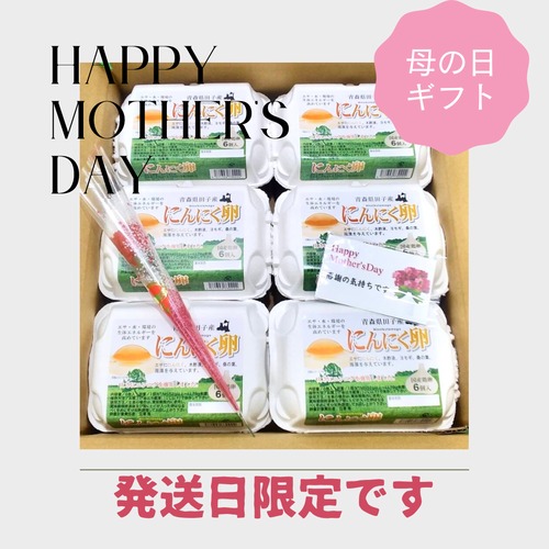 【Happy　Mother′s　Day】早割　母の日ギフト！！10％OFF【～4/30（火）までのご注文限定】　絶品たまごギフトセット  にんにく卵　36個（6個入り×6パック）