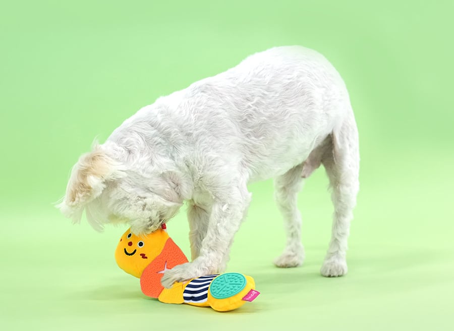 larva snack toy / ペット 犬 おもちゃ カシャカシャ 音が鳴る 知育玩具 ノーズワーク おやつ隠し 可愛い わんちゃん おもちゃ ストレス解消 toy15