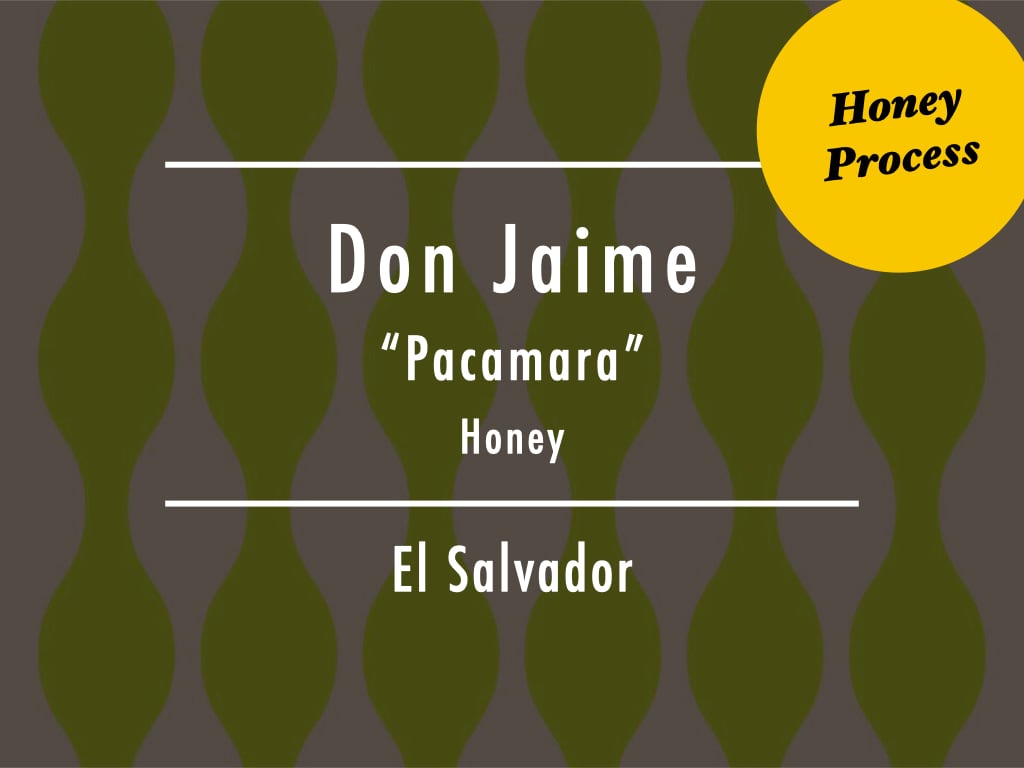 【100g】エルサルバドル / Don Jaime "Pacamara" Honey