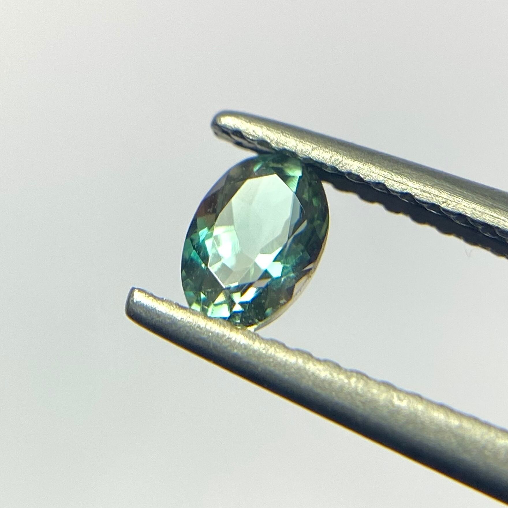 ラグーンピンクなオーバルオレサン6