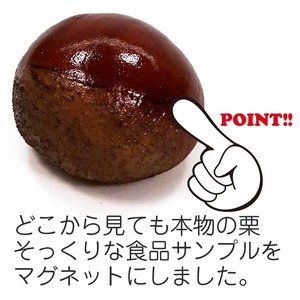食べちゃいそうな 栗 食品サンプル マグネット