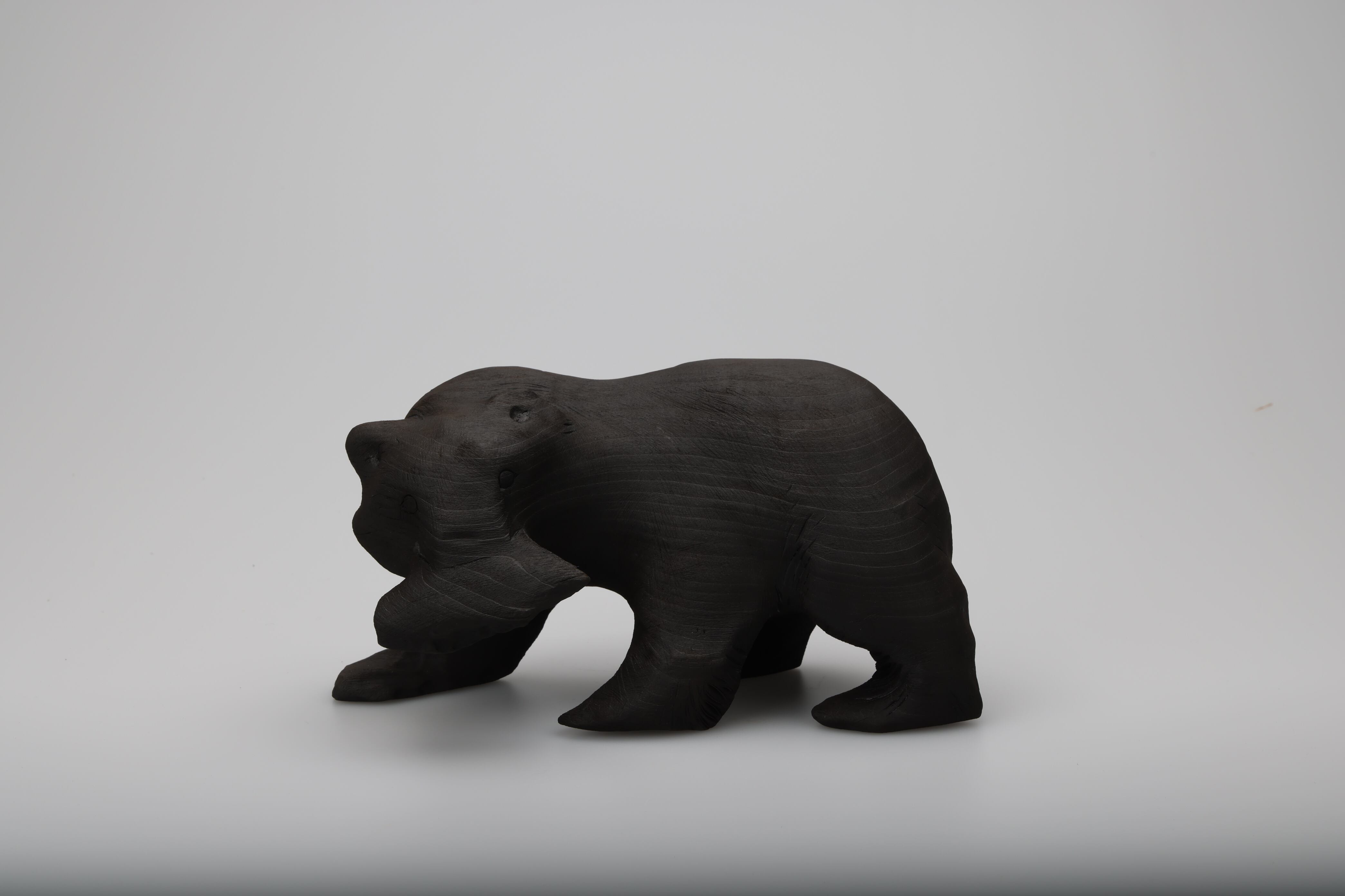 Re-Bear Project