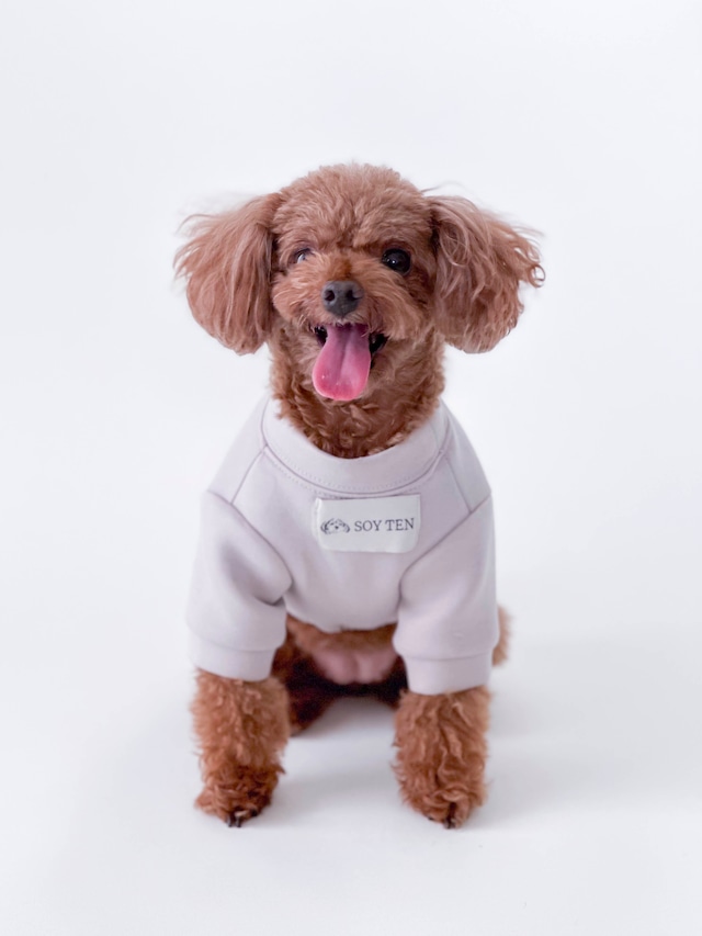 Mochi Sweatshirt (for DOGs)