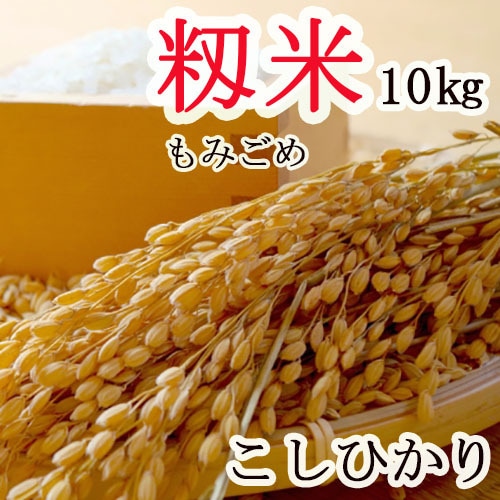 新米！こしひかり【 籾米 もみごめ 】 長野県産 １０ｋｇ ＜2023年産＞