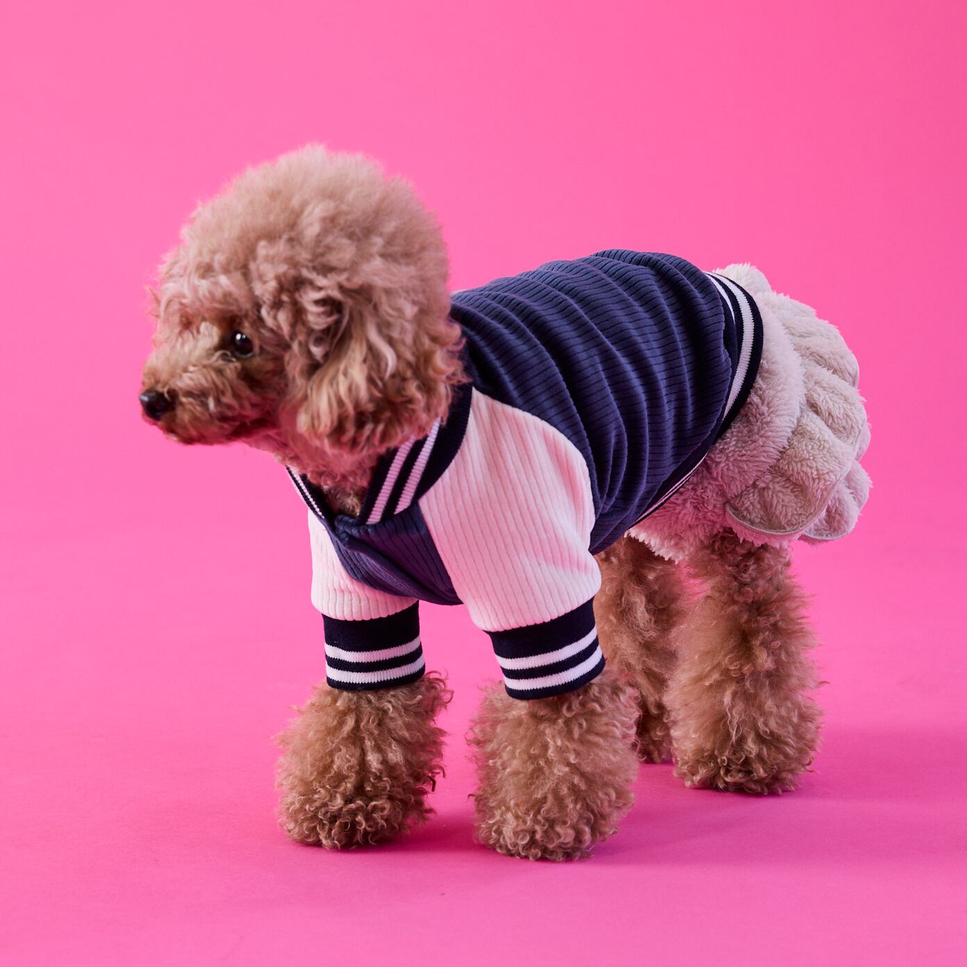 252517］スタジャン | 犬服ブランド 2e deuxieme cale | おしゃれな