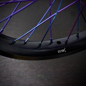 DELTΔ BMX ALLOY WIDE REAR WHEEL (20INCH)