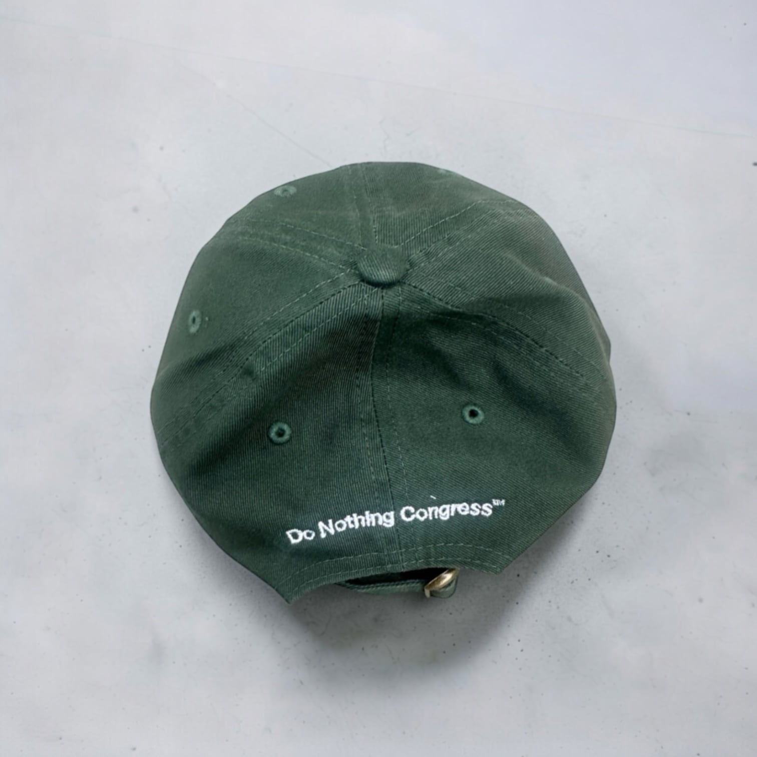 DO NOTHING CONGRESS [NEVER WORK CAP]