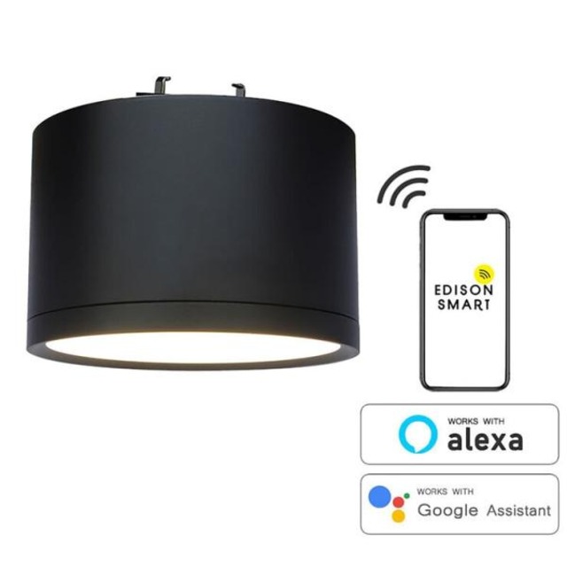 コストコ再販商品 Edison Smart（エジソンスマート）ミニシーリングライト 引っ掛けシーリング用 ブラック RST-TZ367LBK