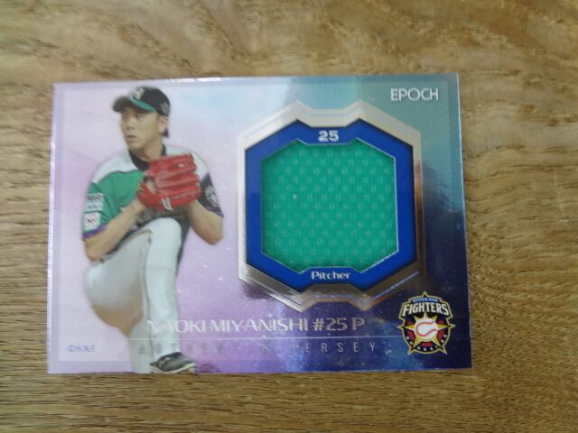 epoch 2016 日本ハム ファイターズ シーズンアチーブメント 大谷翔平 