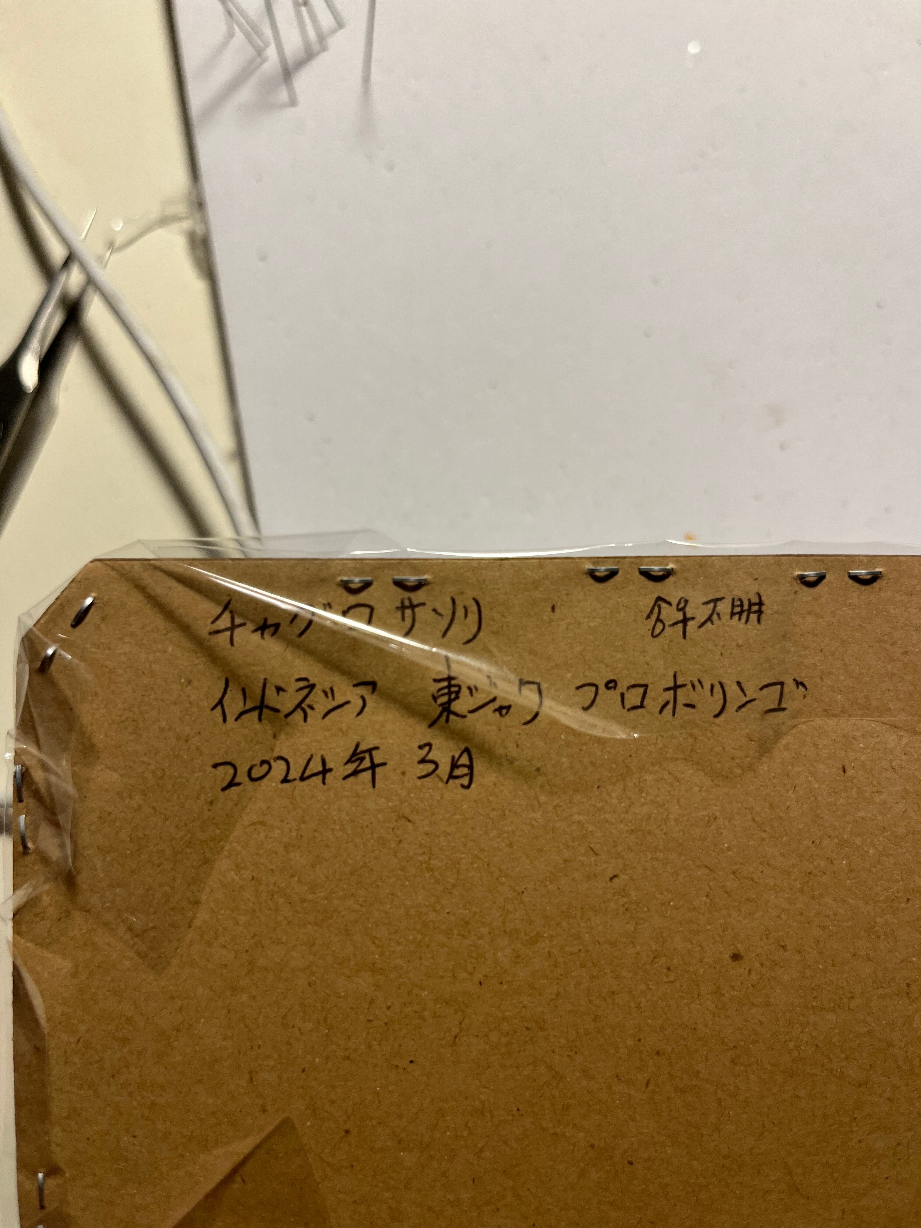 ザンビア産　サソリカミキリ　47mm 鋏角美麗蠍】アジアンフォレストスコーピオン チャグロサソリの標本