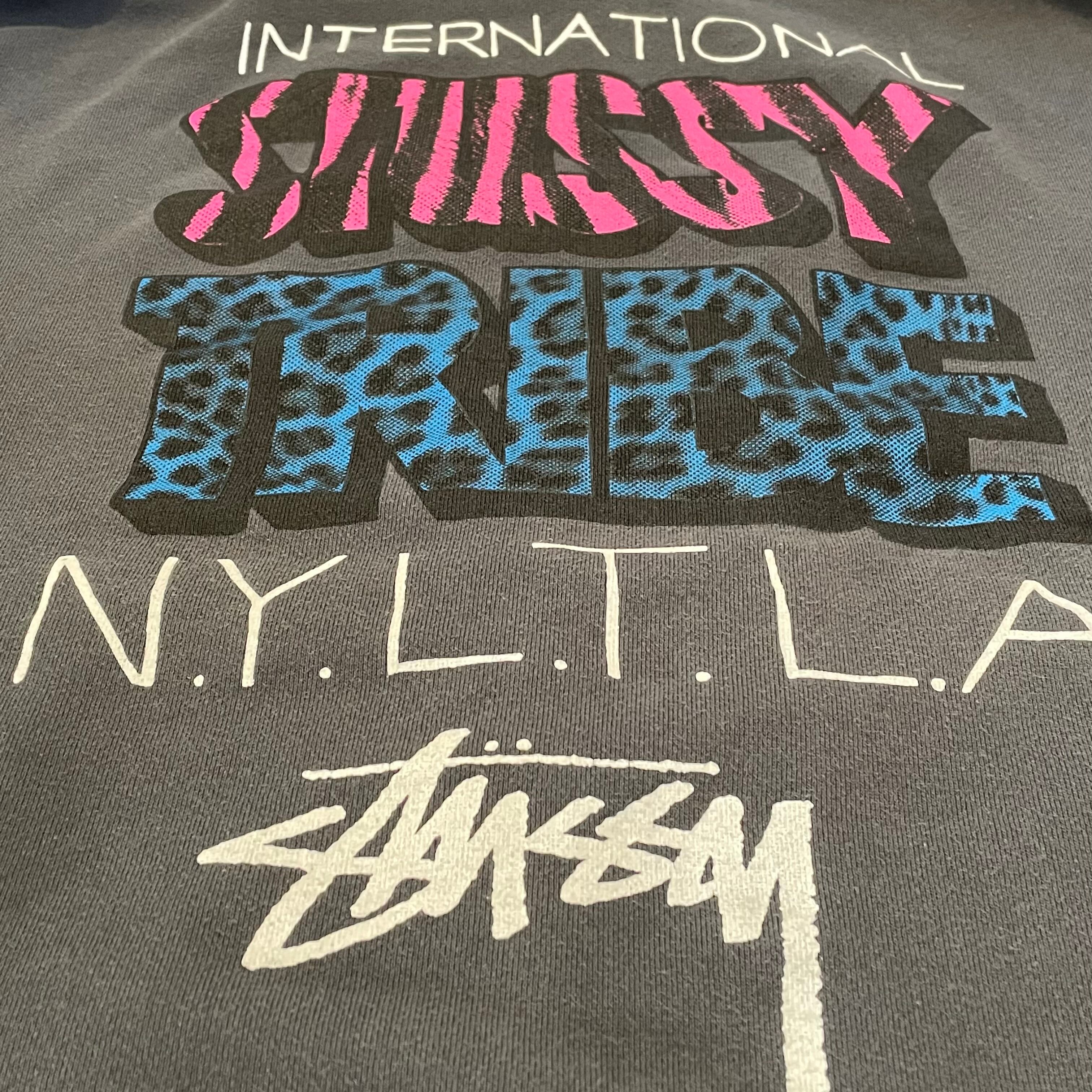 【人気Lサイズ】 STUSSY マウンテンロゴ バックプリント スウェット