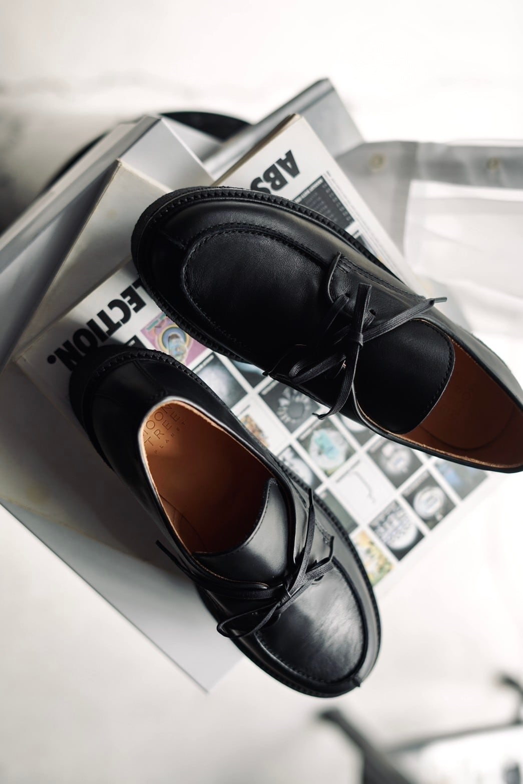 MOON TREE PLANET | JUQUI Online