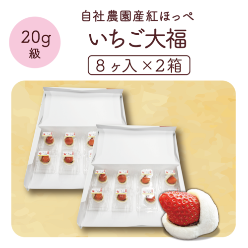 【絶品】苺大福 (20g級 8ヶ入り)×2箱 (合計：16ヶ）