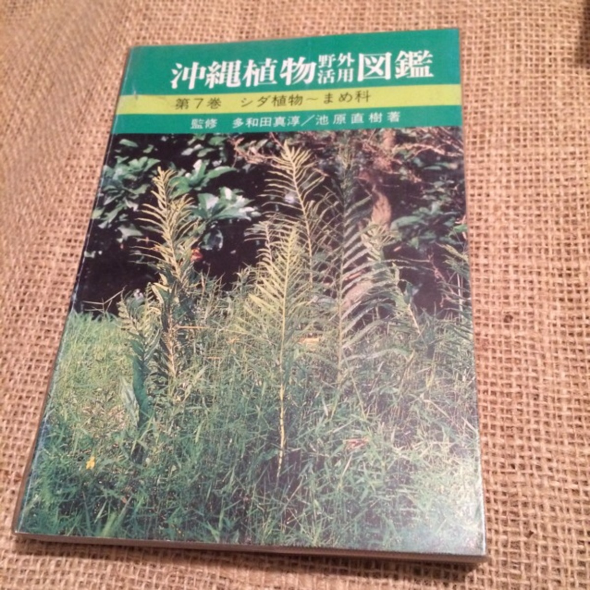 古書 絶版 沖縄植物野外活用図鑑 第7巻 シダ植物 まめ科 池原直樹 Akubishobo 西表島 古書 絶版 沖縄植物野外活用図鑑 第7巻 シダ植物 まめ科 池原直樹 Akubishobo 西表島