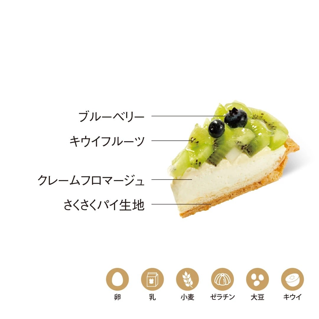 〈5HORN〉キウイチーズタルト 1個【期間限定 2/3配送分まで】