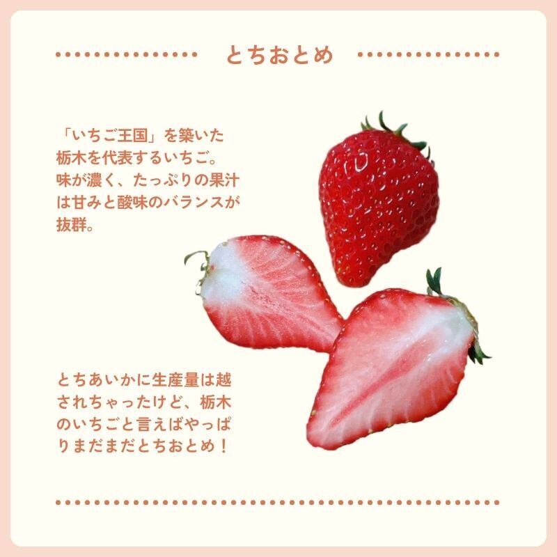 桐箱入り] - 尊い苺 - 猪野さんちのいちご4種セット（とちひめ・とち