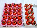 百果葉の２品種トマトBセット（カンパリ20個、フルティカ10個）【えひめAIで育てる誠意系野菜】
