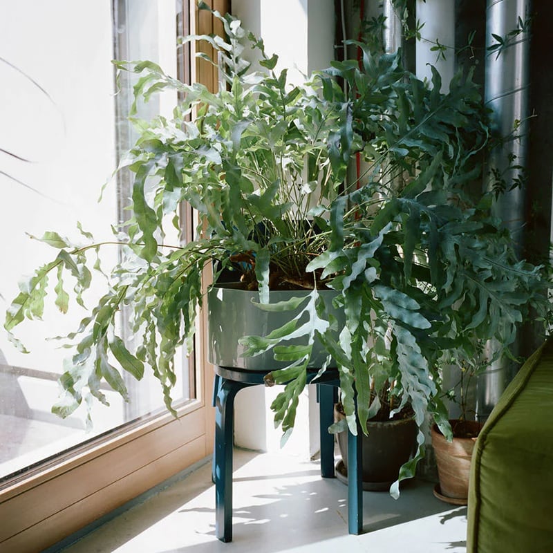 リーヒティエ プラントポット / Bタイプ（大）［ アルテック ］ | REAL