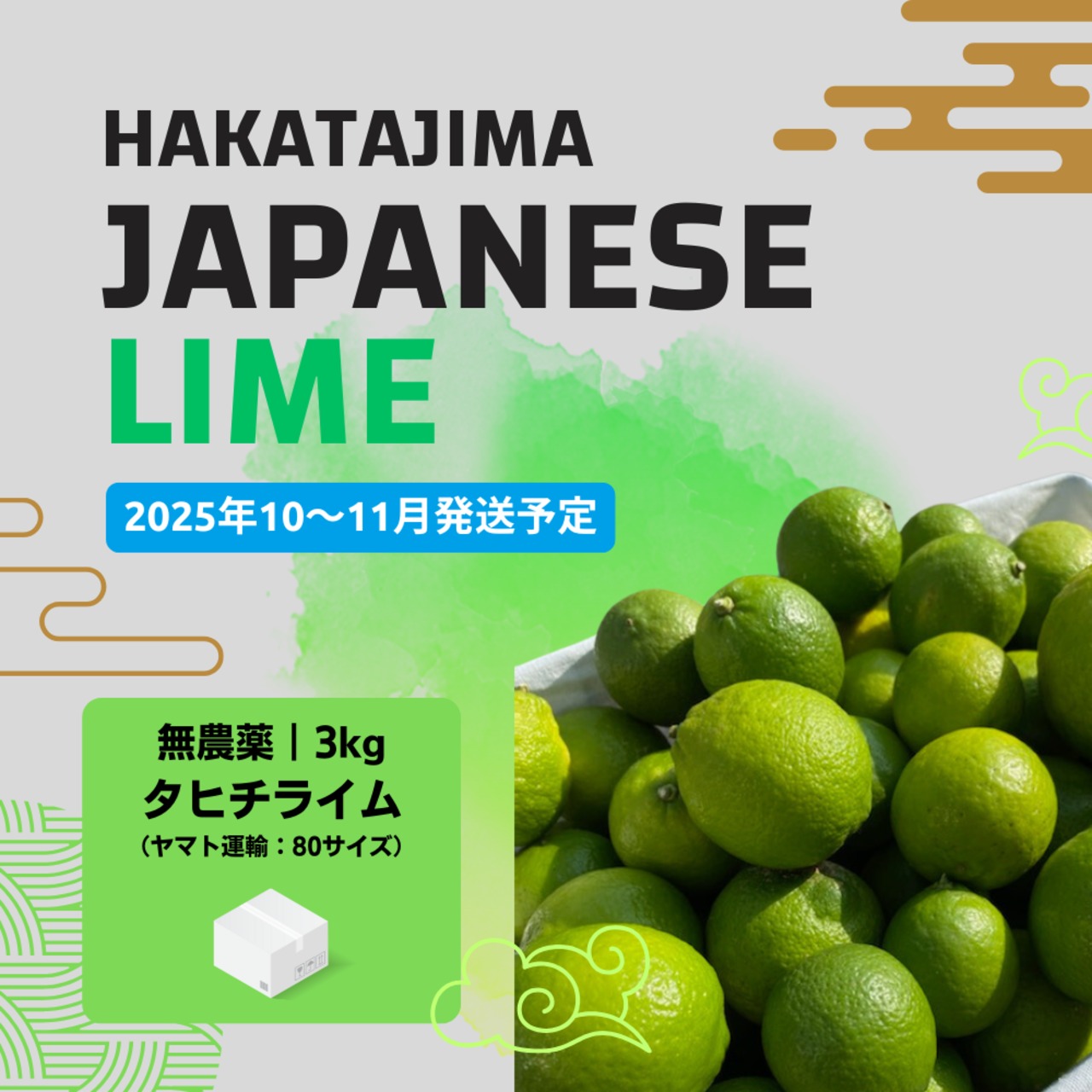 【3kg】国産希少タヒチライム｜収穫してすぐ発送！