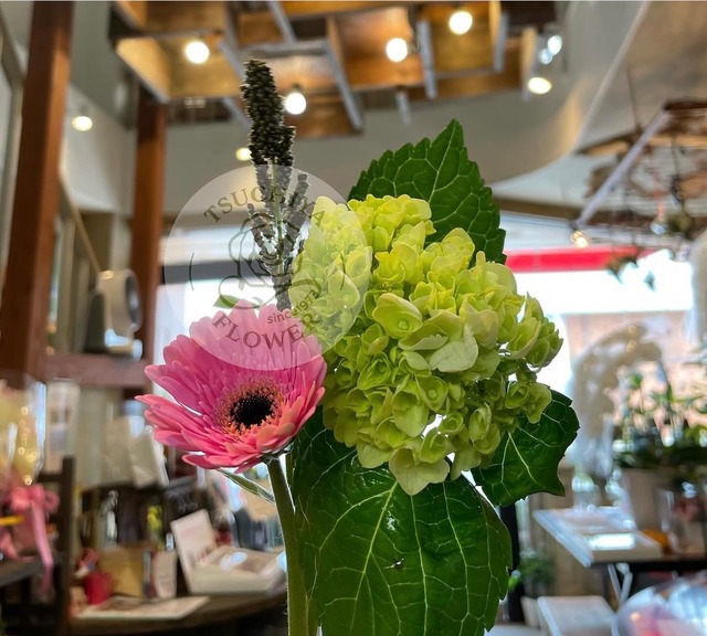 【2回だけの定期便（花のサブスクリプション）