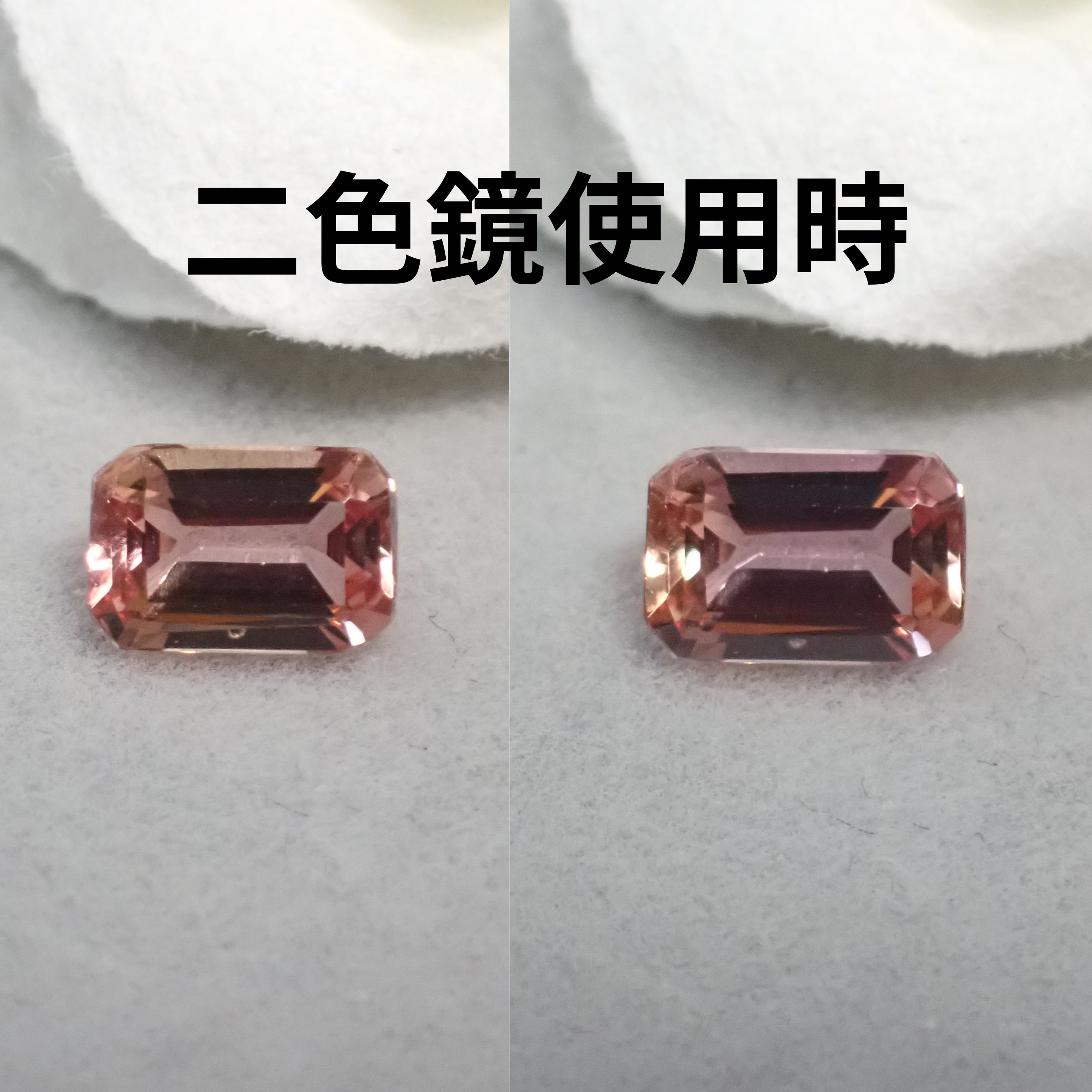 シェリー様 Jill Jelly～ADMIX series～ 発売のお知らせ – アゾンニュース