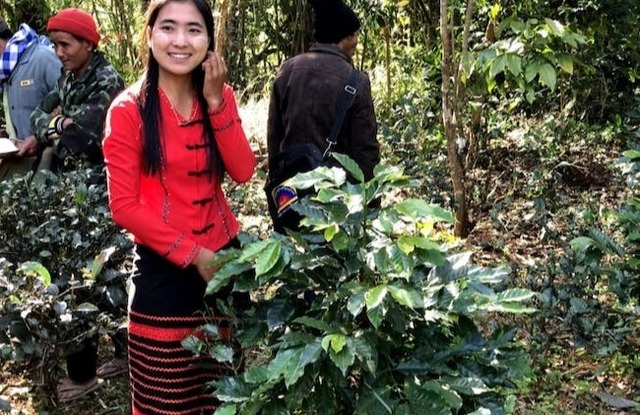 （送料無料：80gx1袋）ミャンマー シャン州 ユアンガンのジーニアスコーヒー