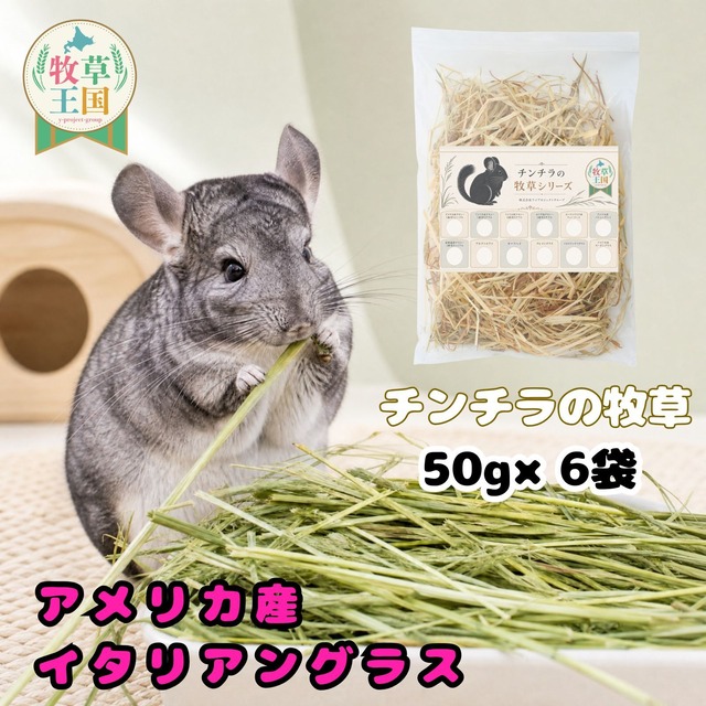 牧草王国 チンチラ 牧草 アメリカ産 特選イタリアングラス 50g×6袋
