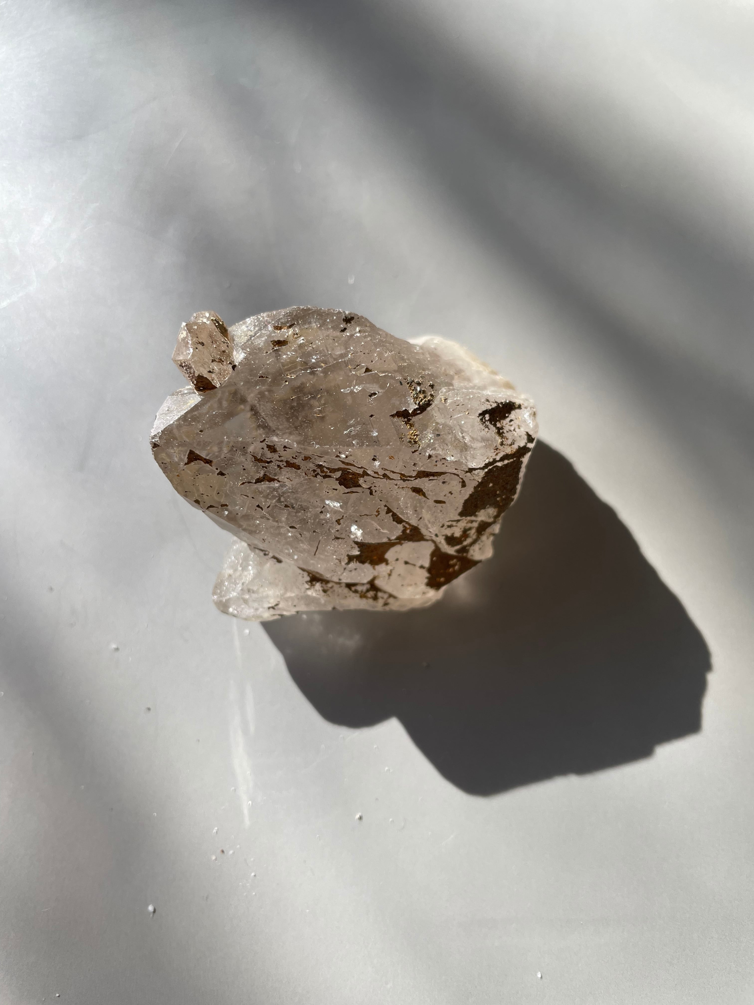 パキスタン　ギルギット　スカルドゥ産　ゴールデンヒーラー　マニフェステーション