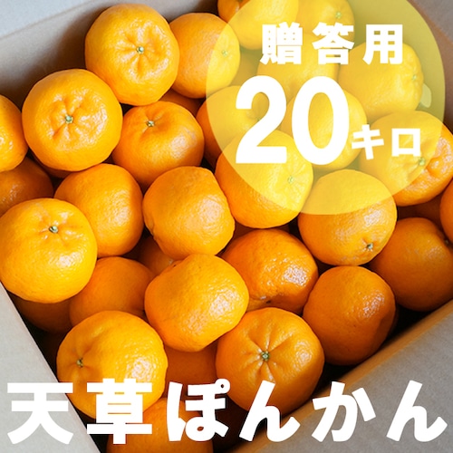 天草ぽんかん贈答用【20kg】