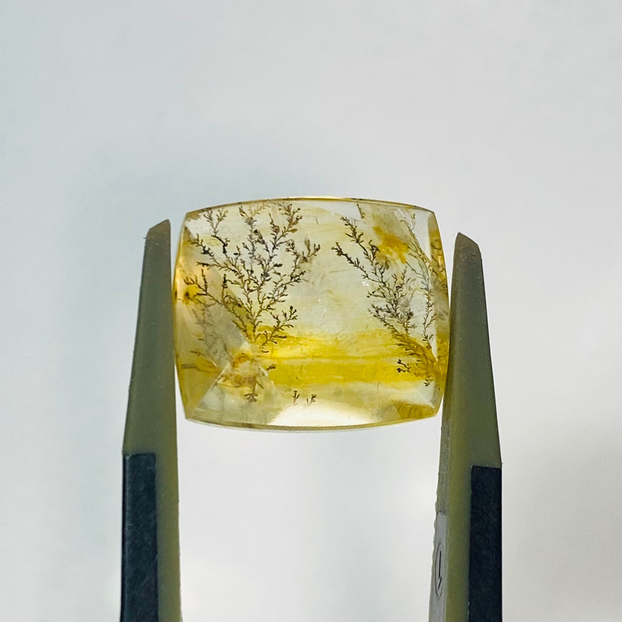 秋冬支度 デンドリティッククオーツ