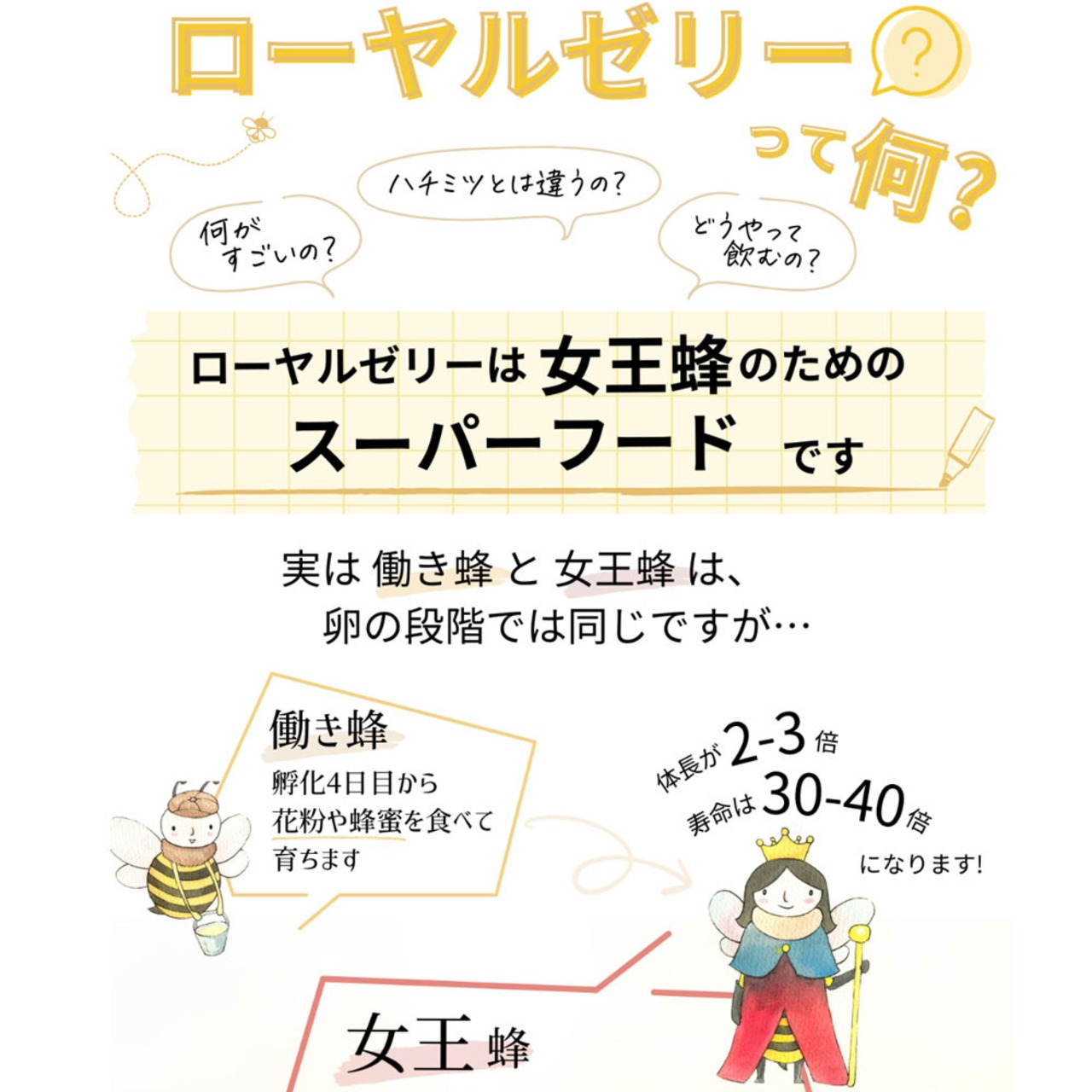 「送料無料」台湾産生ローヤルゼリー500g(約5ヶ月分)x1本 小分け瓶付（ヤマト運輸冷凍便発送）