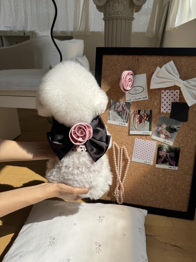 〈予約アイテム〉SICGGU/ ブラックピンクローズハーネス