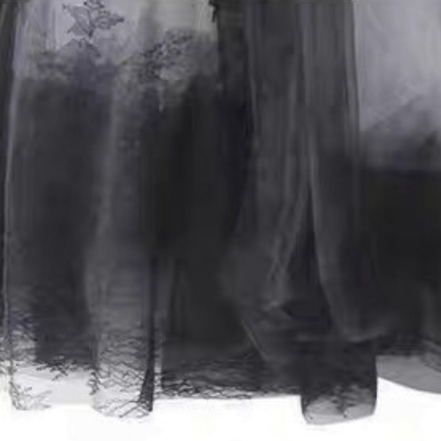Sheer lace tulle skirt C1437