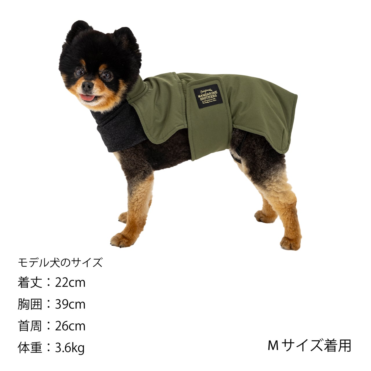 RAP JACKET（M.MD.L） ラップジャケット | MANDARINE BROTHERS
