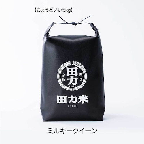 田力米 ミルキークイーン 白米 5kg